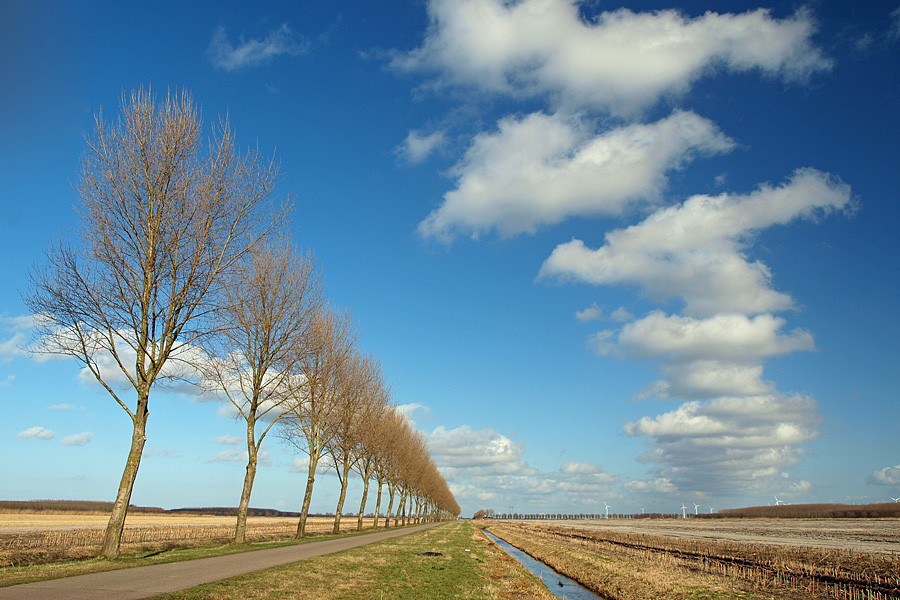 Polder road by Ingo Ronner